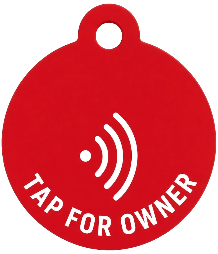 Pet Tag, back
